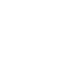 brain icon